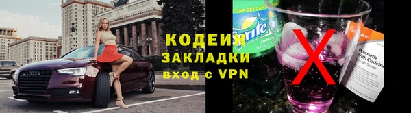 хмурый Кодинск