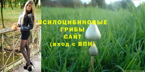 прущая мука Козловка