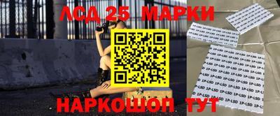 гидра Заводоуковск